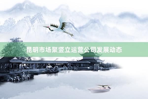昆明市场聚竖立运营公司发展动态